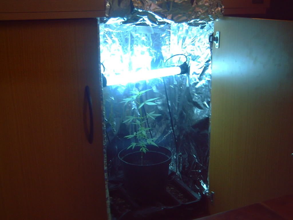 PICT0165.jpg