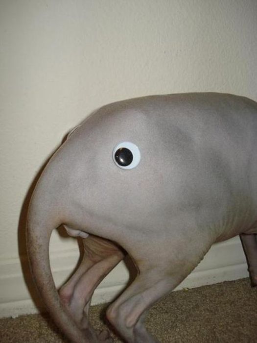 acid_picdump_10.jpg