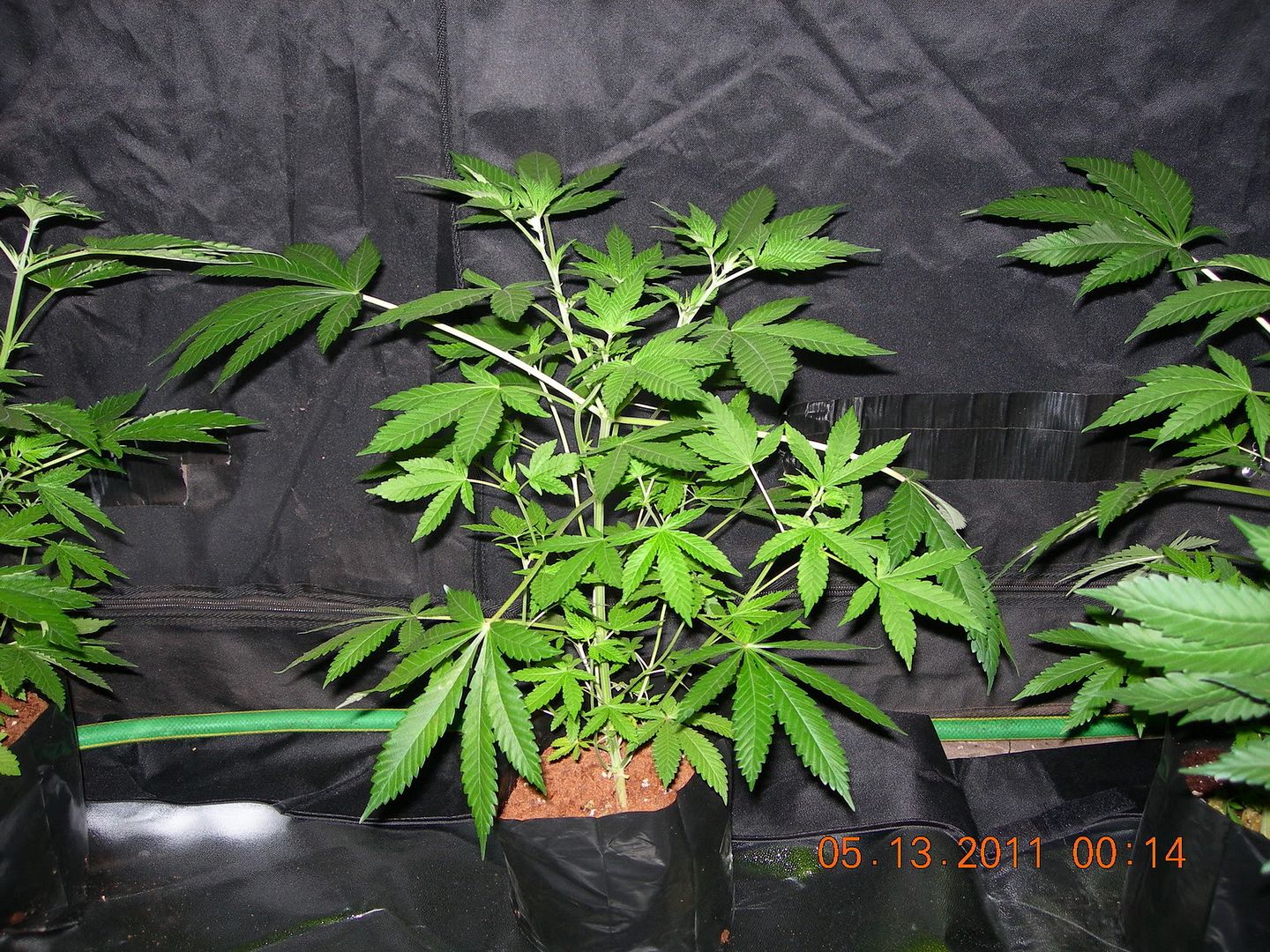 DSCN9495.jpg