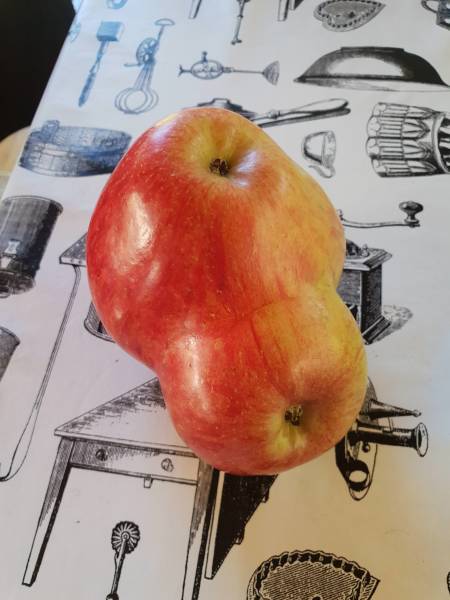 acid_picdump_84.jpg