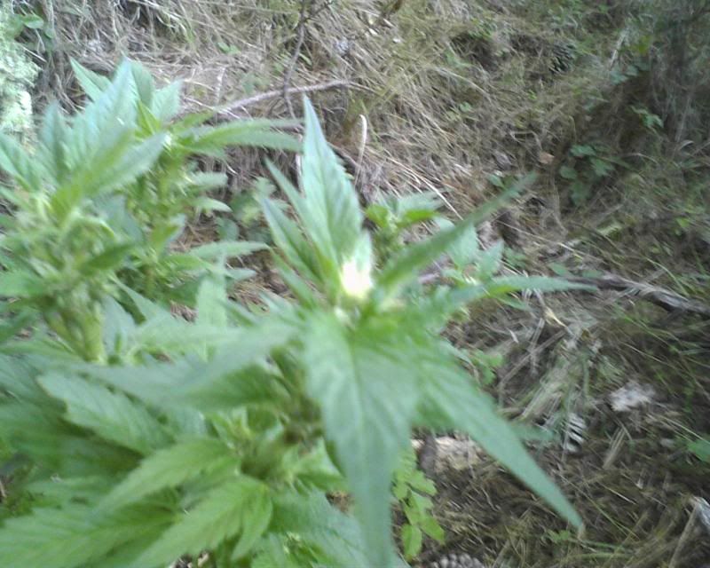 120507_0005.jpg