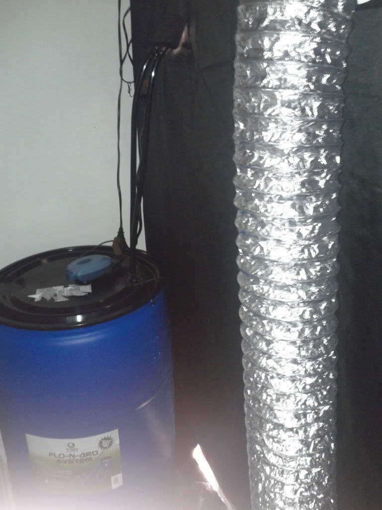 IMG_20111207_010636.jpg