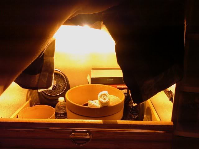 IMAG0029.jpg