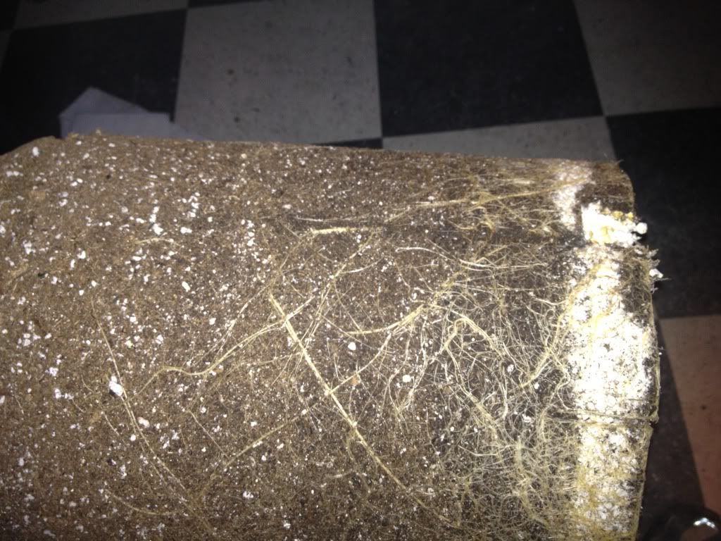 june102012050.jpg