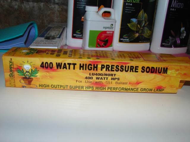 DSC05772.jpg