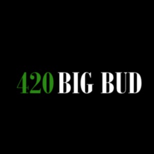 420bigbud.com