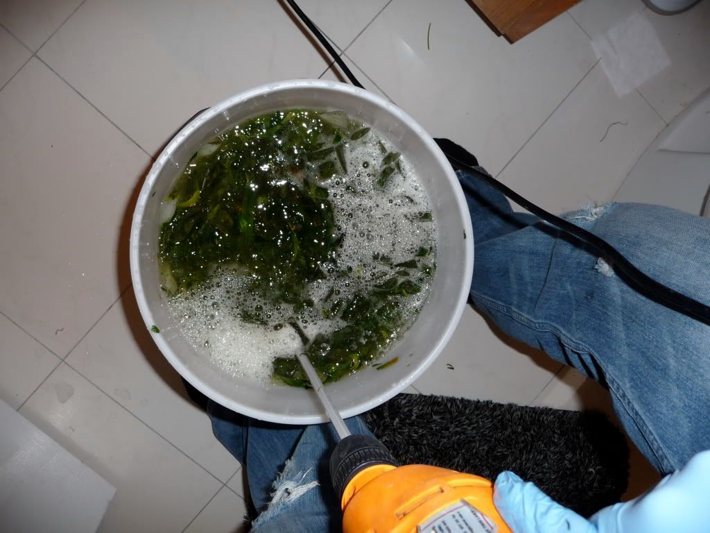 P1000201.jpg