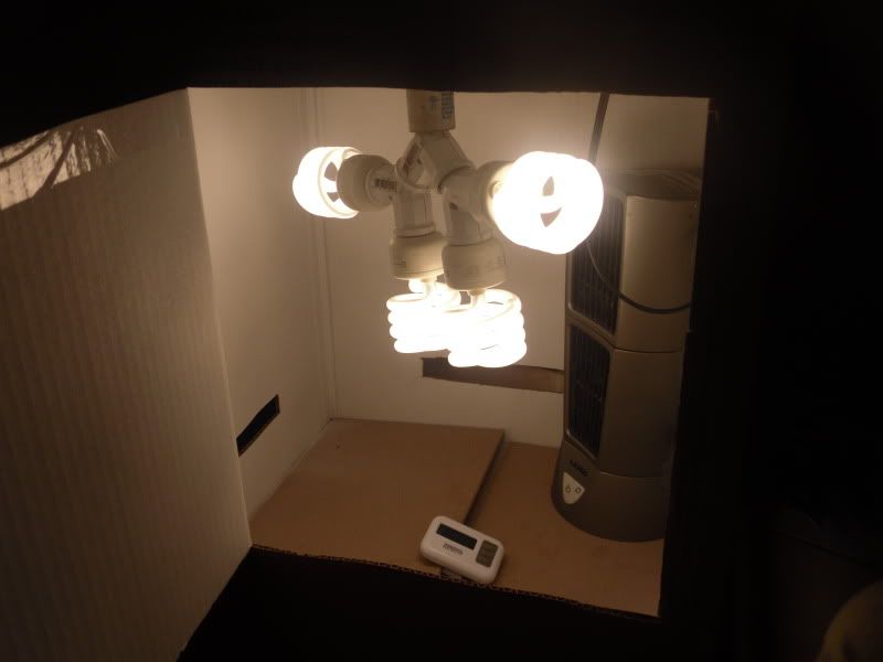 SDC10526.jpg