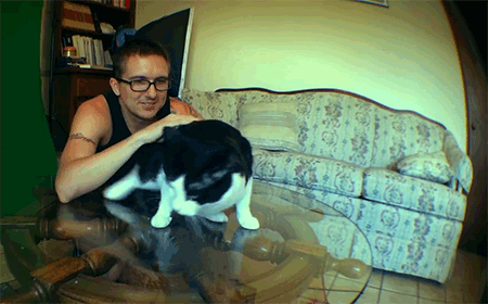 gv068Bt.gif