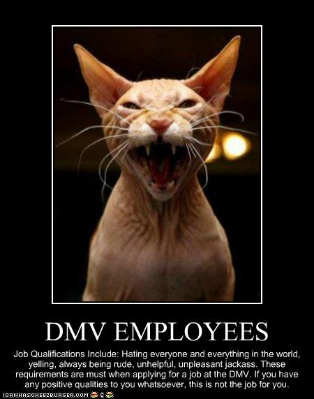 dmv.jpg