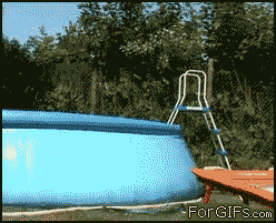 gif_06.gif