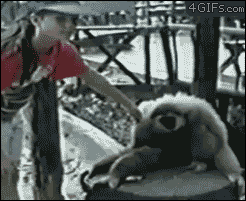 gifs_22.gif