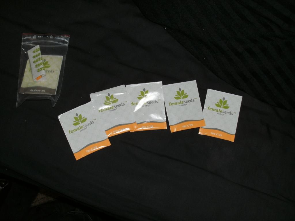 PICT0043_zps1c19cc5c.jpg