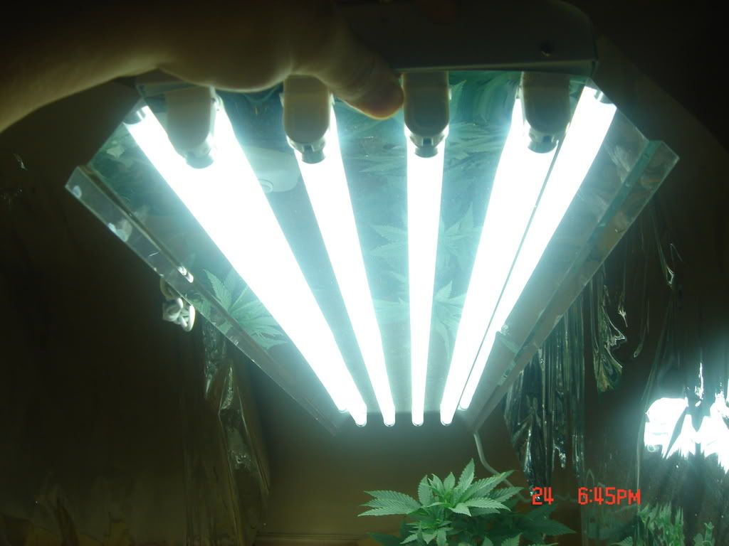 DSC01445.jpg