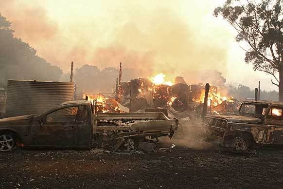 bushfire13.jpg