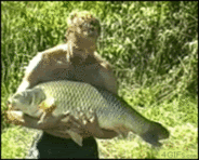 Big_slippery_fish.gif