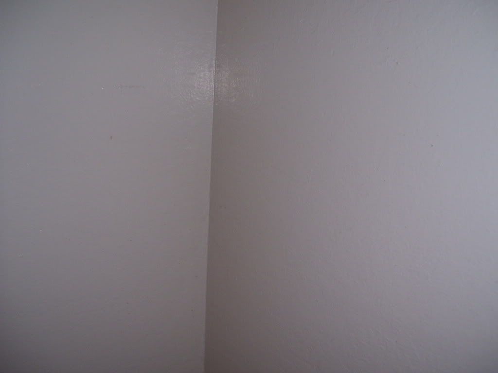 100_0803.jpg