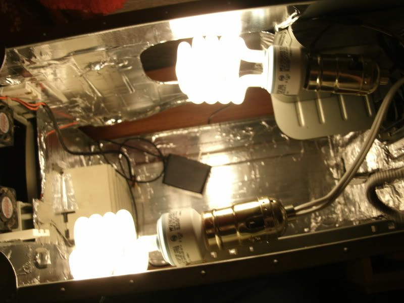 GEDC0398.jpg