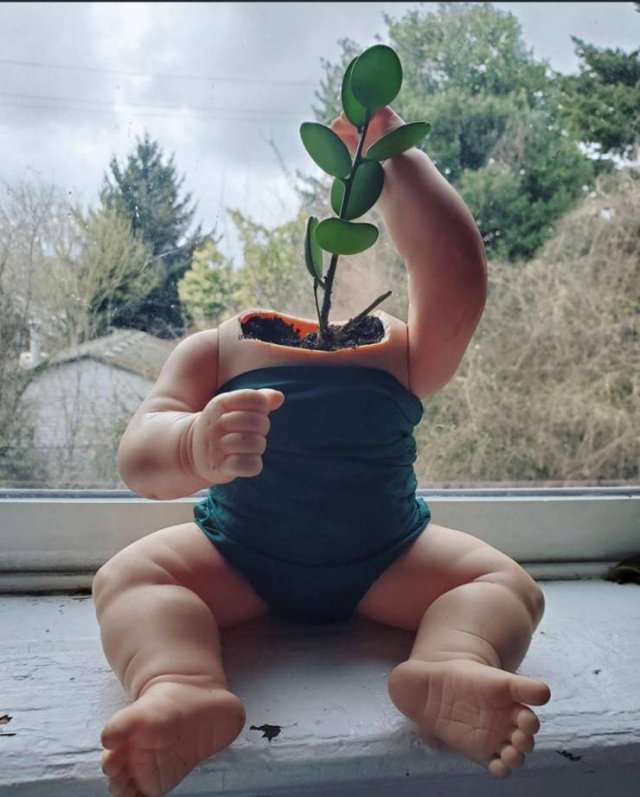 1585681567_8nxr2ypb25.jpg