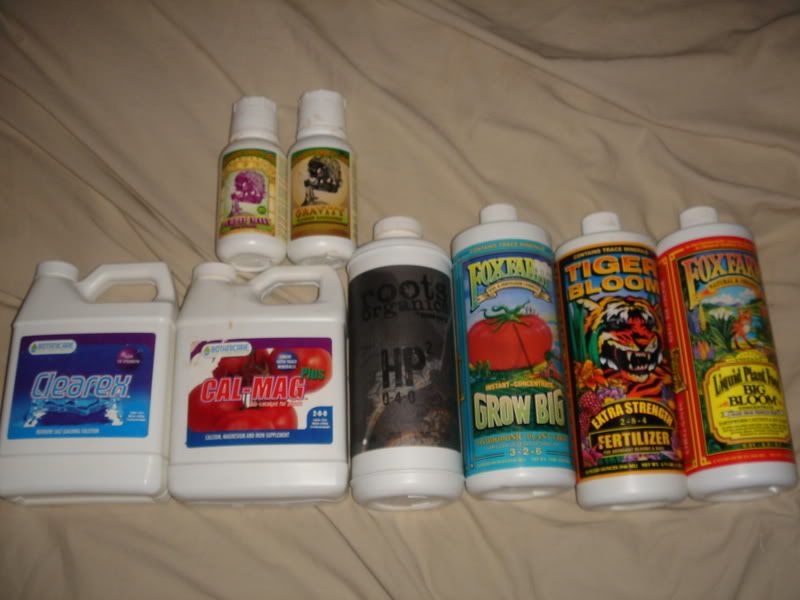 beforeharvest025.jpg