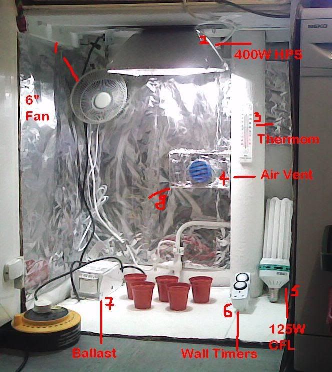 setup.jpg