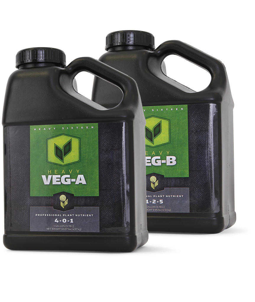 H16_0000_veg-ab-863x1024.png