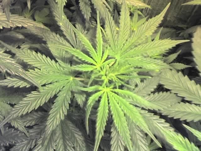 10-13-07_1538.jpg