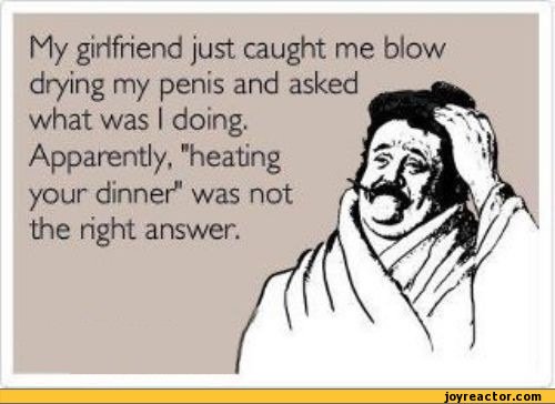 funny-pictures-auto-545318.jpeg