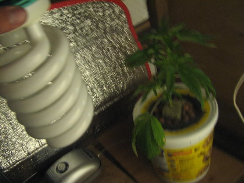 Picture013.jpg