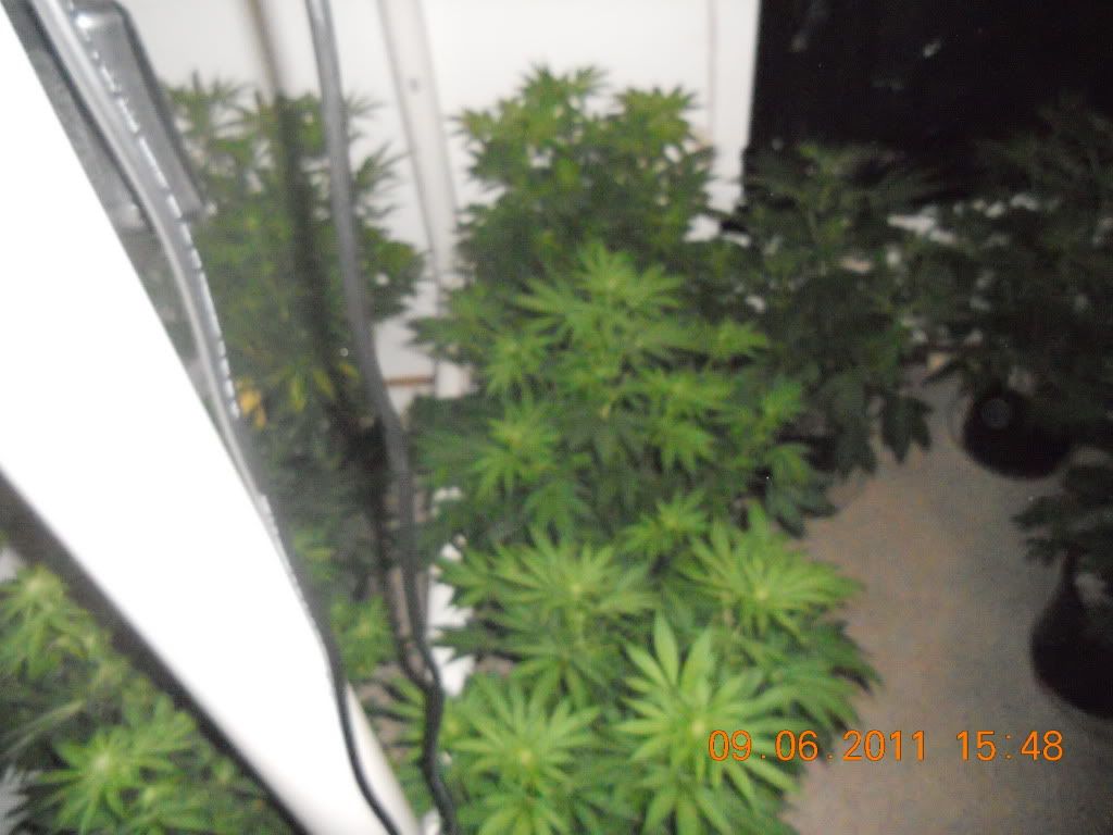 DSCN4521.jpg