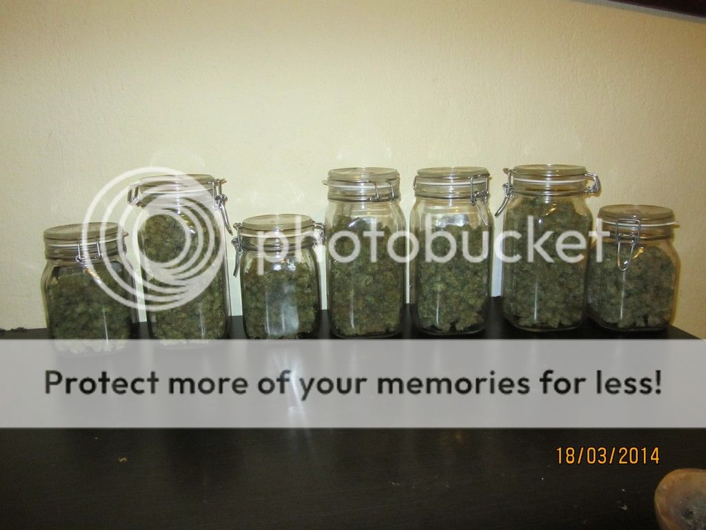 18-3-2014totalyield.jpg