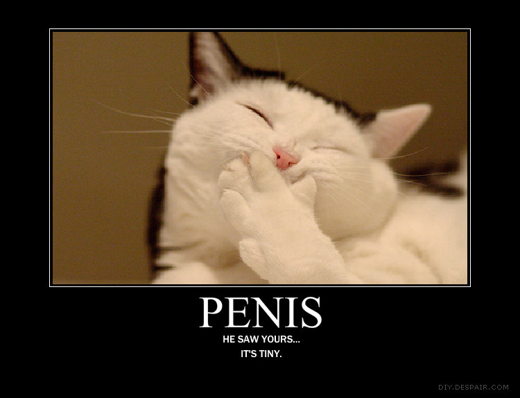 Laugh_2bd6c3_466301.jpg