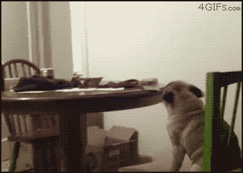 gifs_07.gif