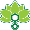 rootedleaf.com