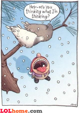 funny-picture-1268350435.jpg