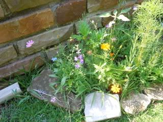 DSCN0774.jpg