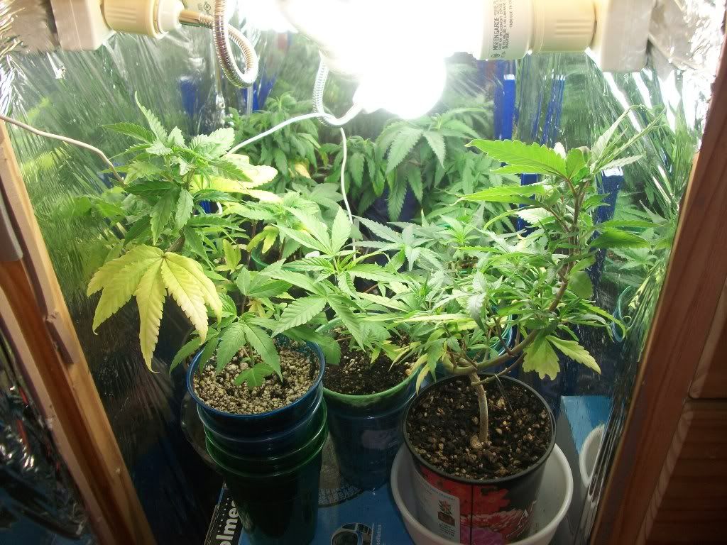 8-30-11005.jpg