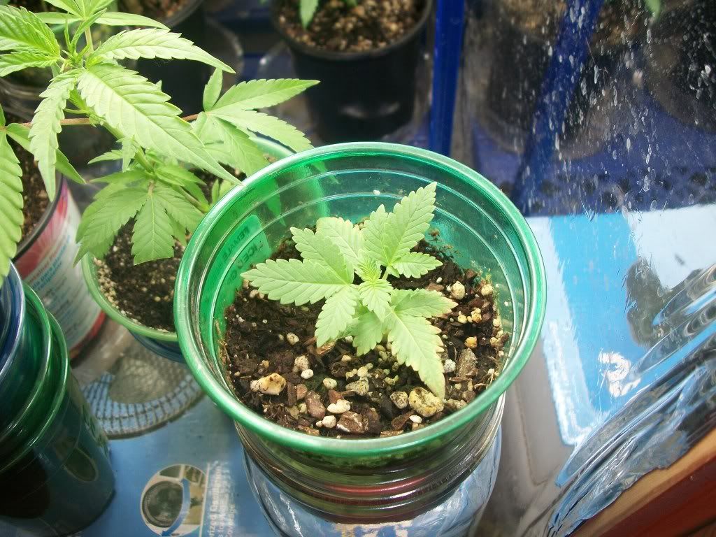 8-30-11011.jpg