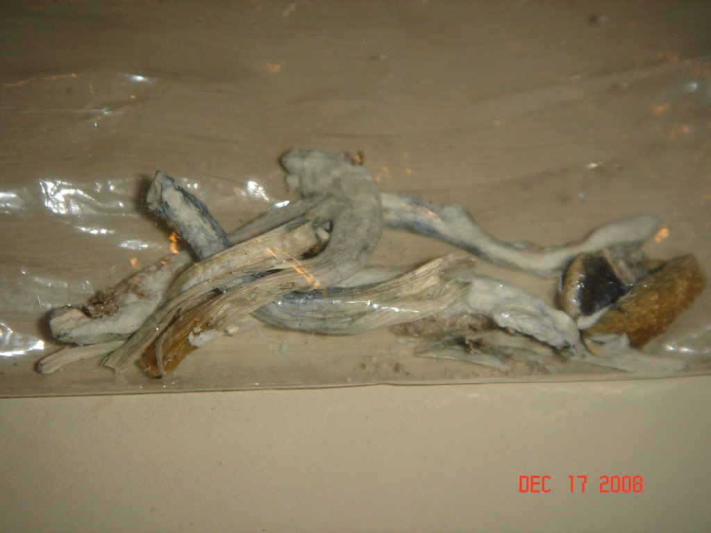 DSC02862.jpg