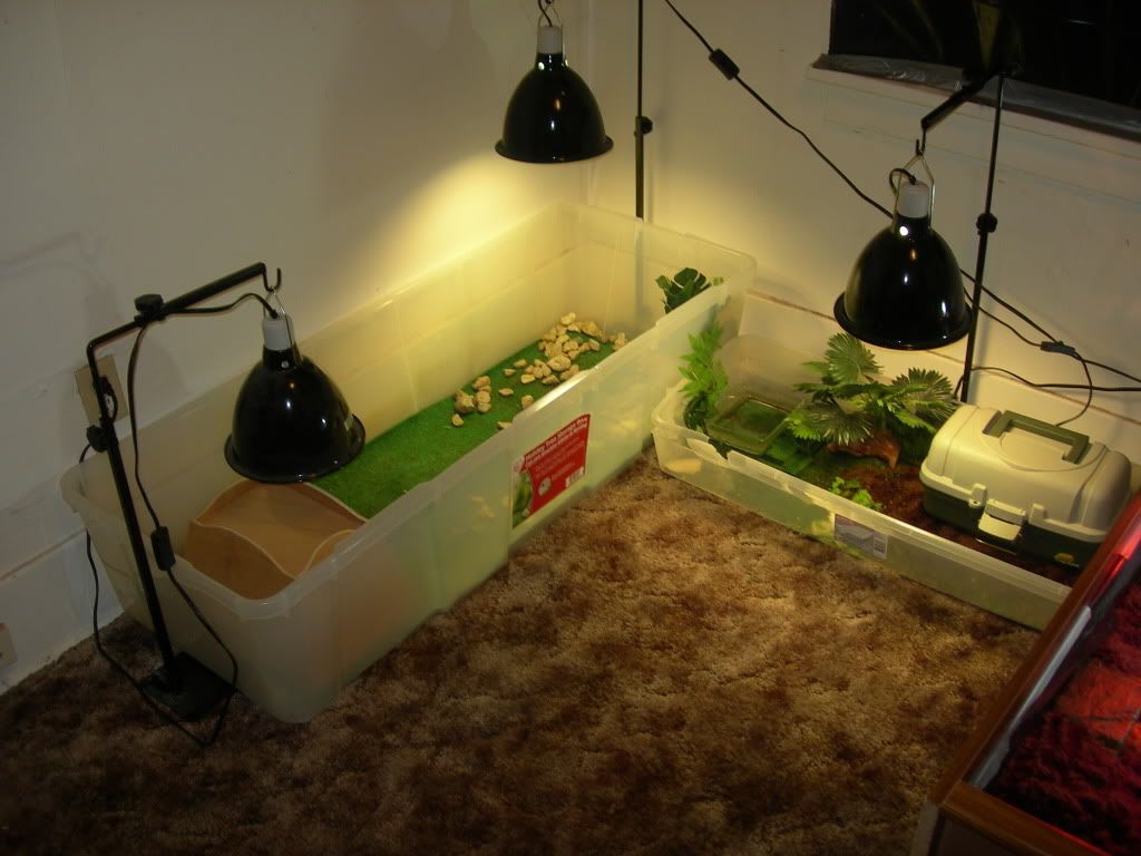 DSCN8983.jpg