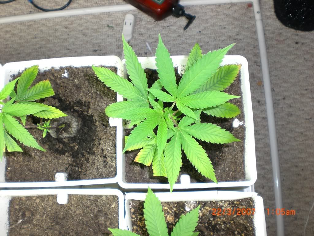 day22-4.jpg