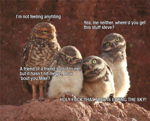 Gss2V.jpg