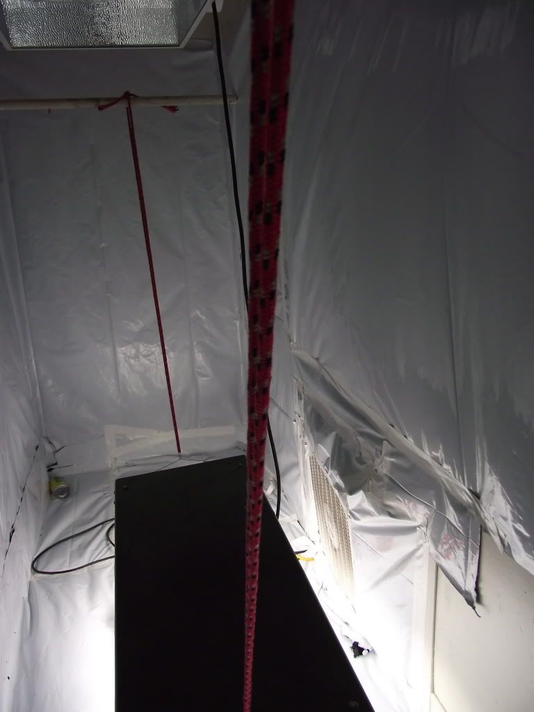 DSCF2111.jpg