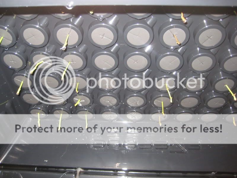 002-45.jpg