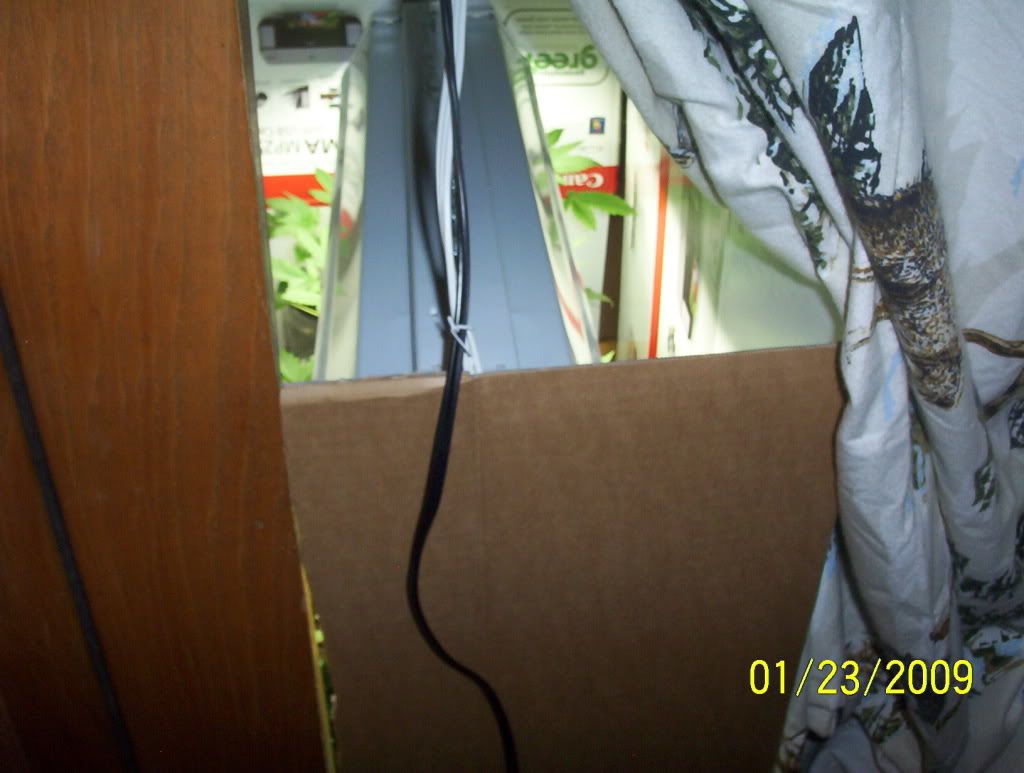 enclosed.jpg