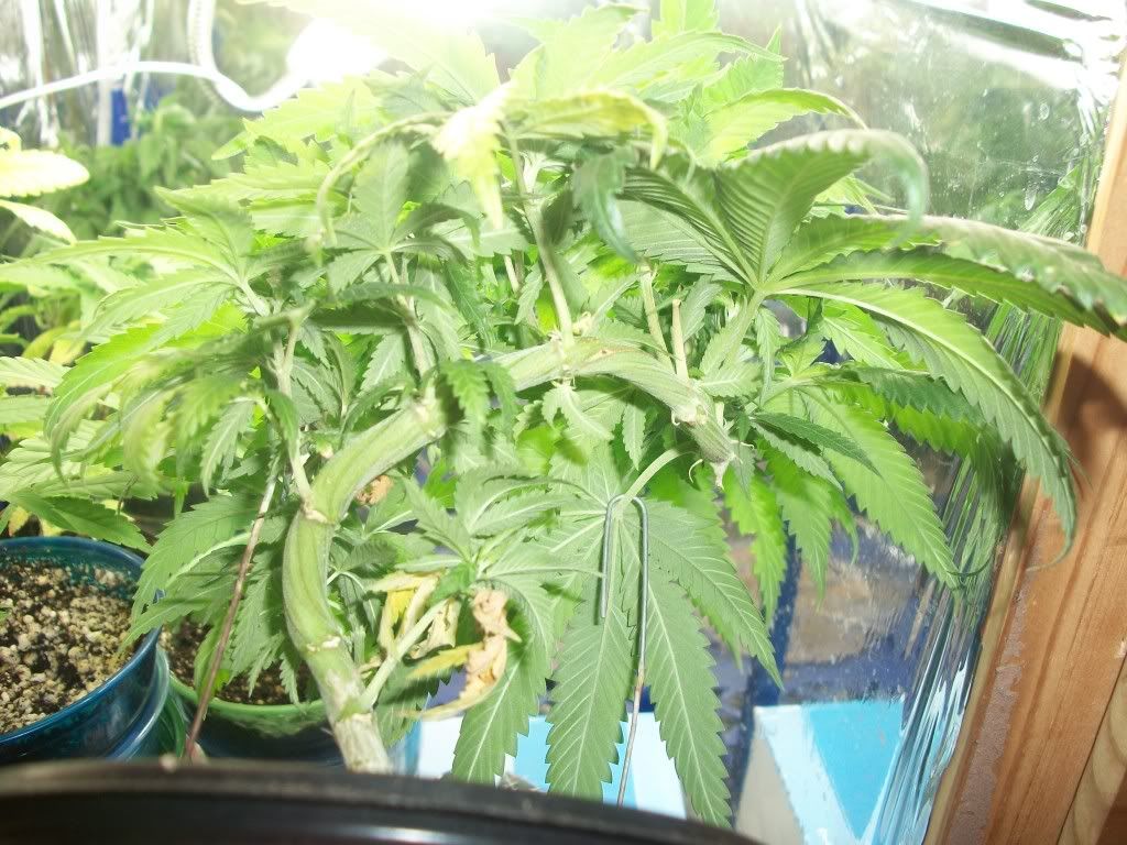 8-30-11009.jpg