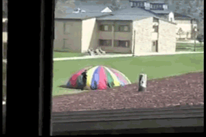 G5bFyuW.gif