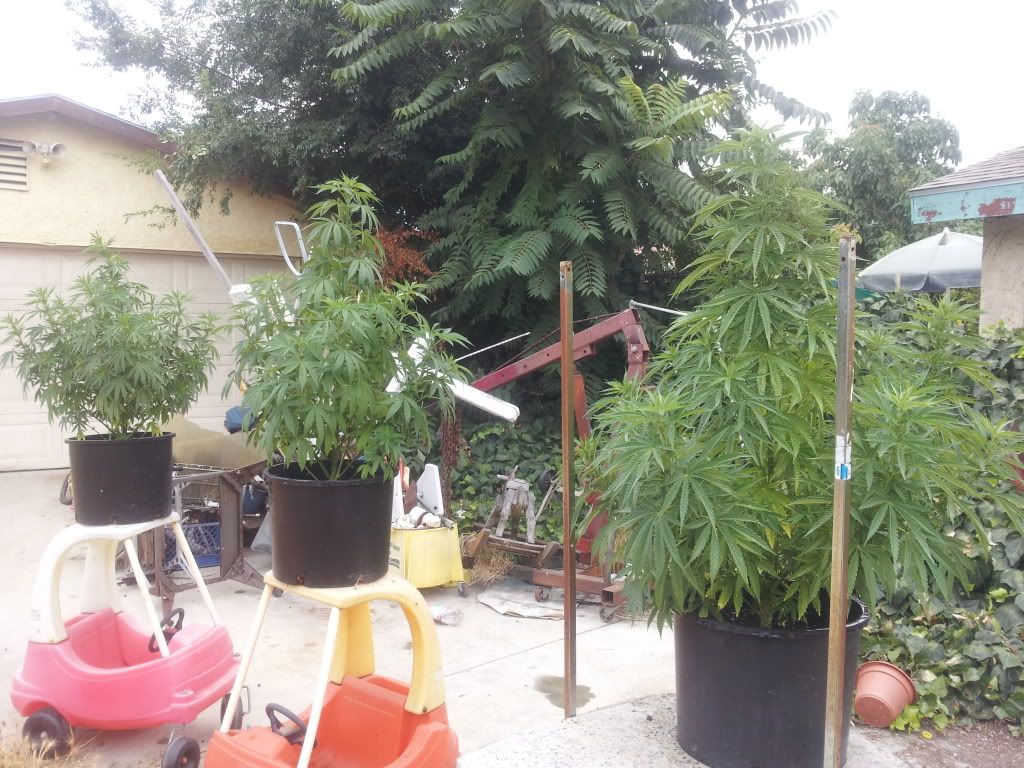 20130630_141311_zps7400539d.jpg