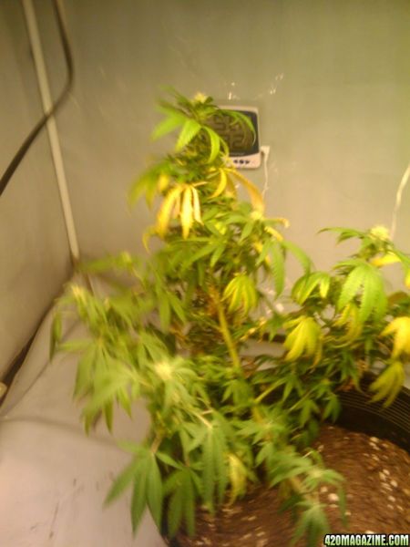 2009-10-25_21_15_13.jpg