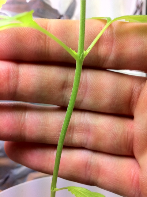 20111113-235500.jpg